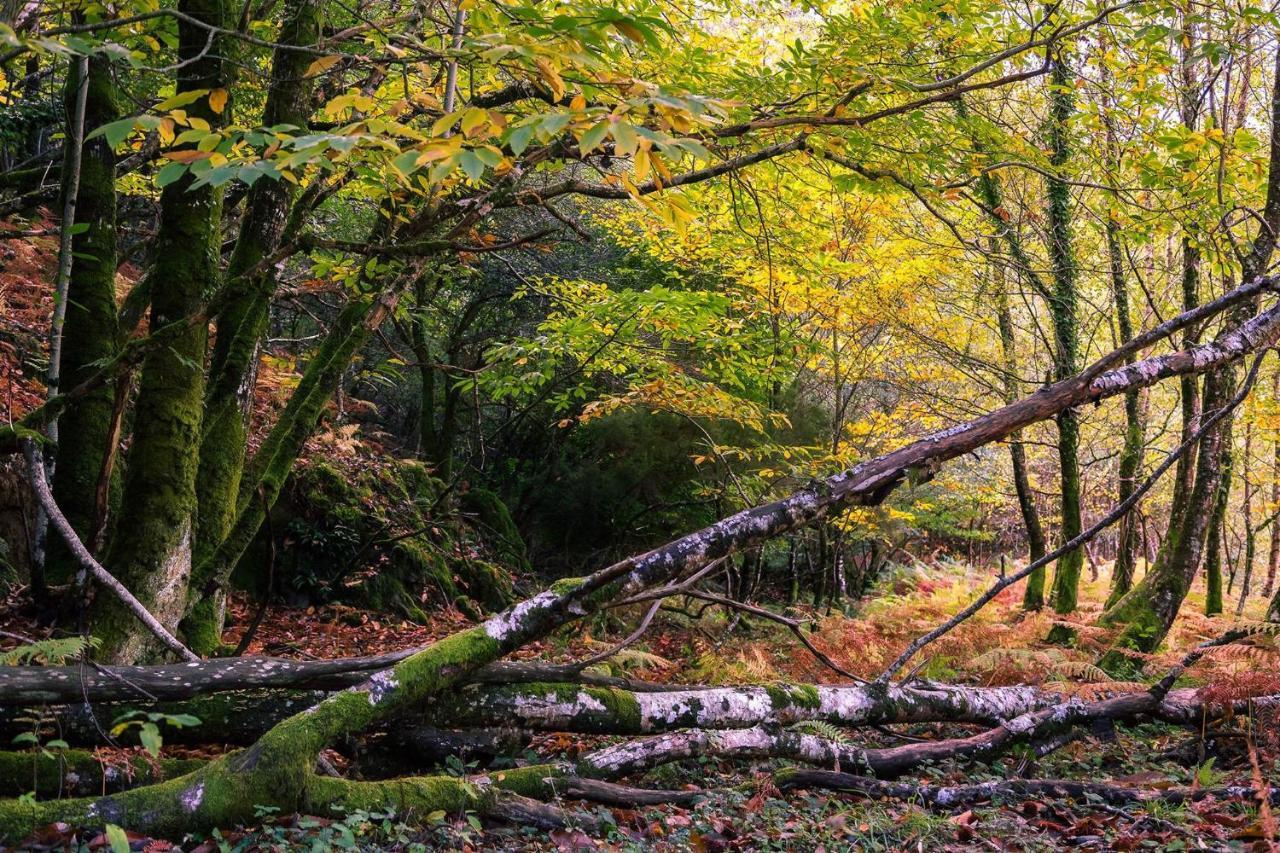 Casa De Turismo Rural Sabariz Vendégház Kültér fotó